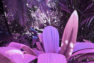 IR0163 Wandbild