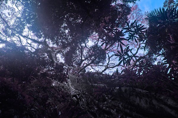 IR0170 Wandbild