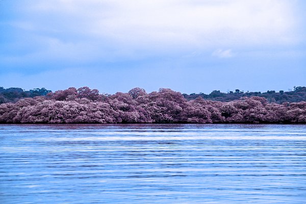 IR0173 Wandbild