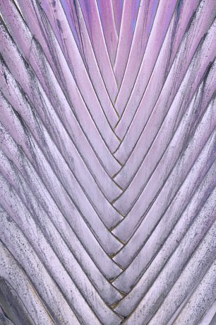 IR0177 Wandbild