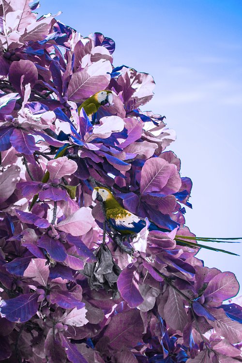 IR0192 Wandbild