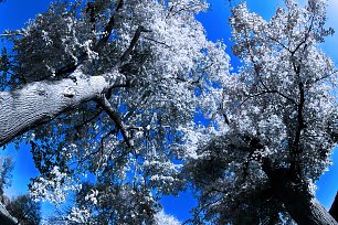 IR0207 Wandbild