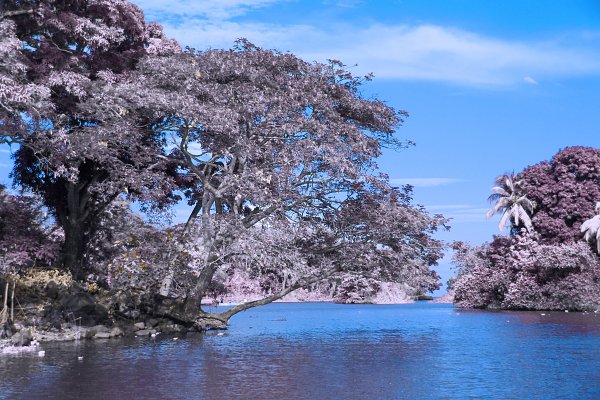 IR0222 Wandbild