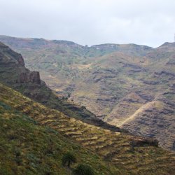 Barranco-Tejiade