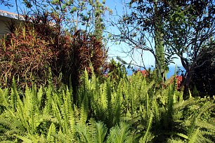 Garten Wandbild