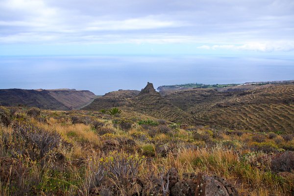 Punta Gorda Wandbild