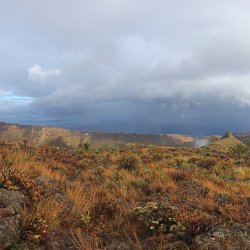 Terrassen-La-Gomera