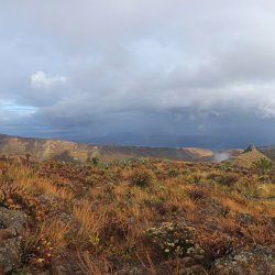 Terrassen-La-Gomera