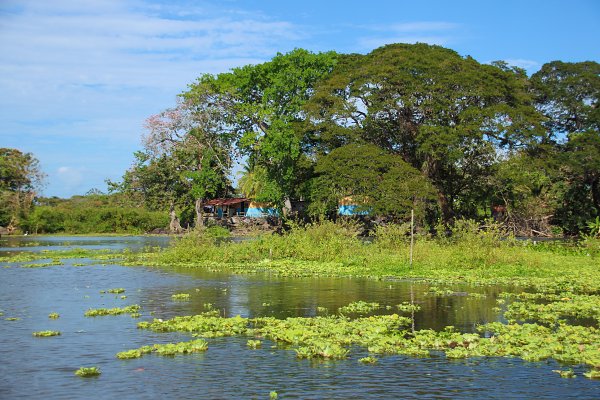 Insel im Nicaragua See Wandbild