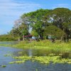 Insel-im-Nicaragua-See