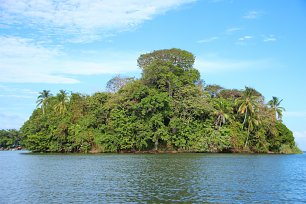 Insel mit Urwald Wandbild