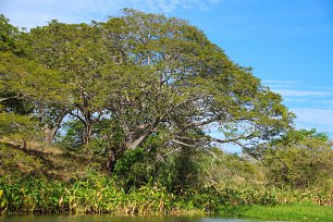 Schoene Natur Wandbild