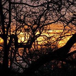 Einbruch-der-Nacht