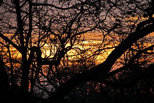 Einbruch der Nacht Wandbild