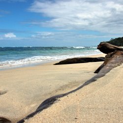 Goldener-Sand