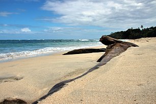 Goldener Sand Wandbild