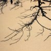 Schatten-am-Strand