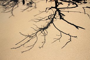 Schatten am Strand Wandbild