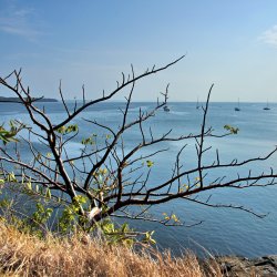 Segelboote-vor-Contadora