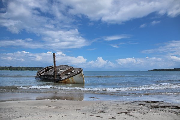 Wrack am Strand Wandbild