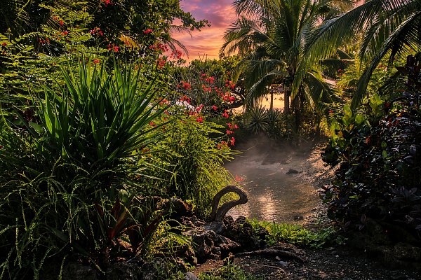 Paradiesgarten 2 Wandbild