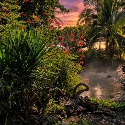 Paradiesgarten_2
