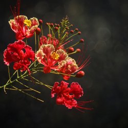 Sinnlichkeit_2