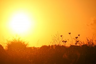 Abendsonne Wandbild