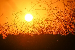 Goldene Sonne Wandbild