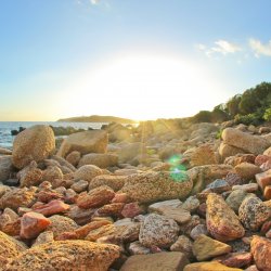 Sonnenuntergang-am-Wasser