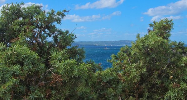 Turm im Meer Wandbild
