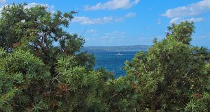 Turm im Meer Wandbild