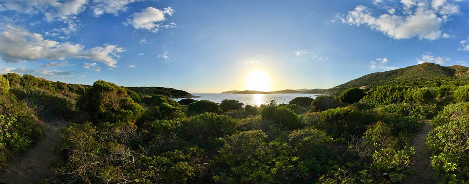 Vegetation auf Sardinien Wandbild