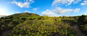 Wildes Sardinien Wandbild