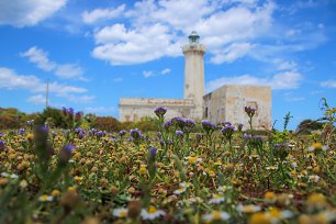 Blumenwiese und Leuchtturm Wandbild