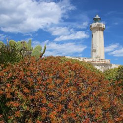 Buesche-mit-Leuchtturm