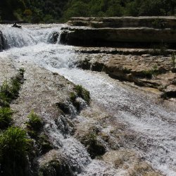 Fliessendes-Wasser