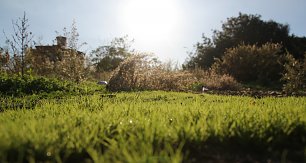 Garten bei Acireale Wandbild