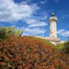 Mediterraner-Leuchtturm