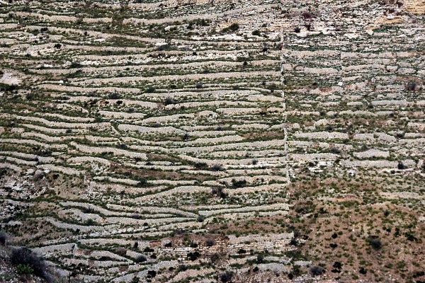 Natuerliche Struktur Wandbild