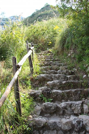 Wanderweg Treppe Wandbild
