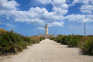 Weg zum Leuchtturm Wandbild