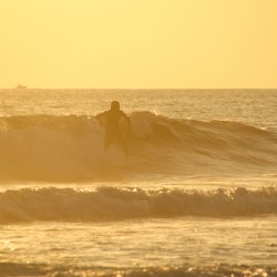 Goldene-Surf-Szene
