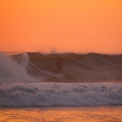 Grosse-Surfer-Welle