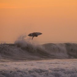 Surf-Meister