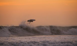 Surf Meister Wandbild