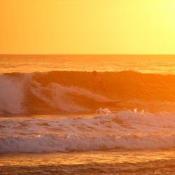 Surfszene-im-Sonnenuntergang