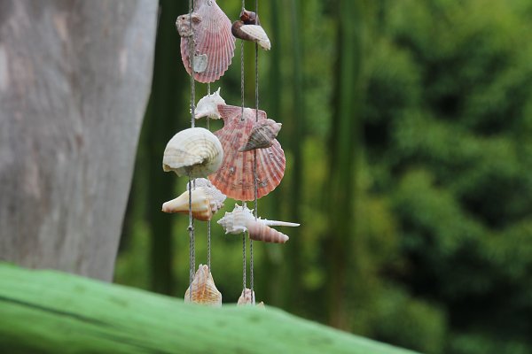 Muschelketten Wandbild