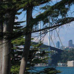 Bruecke-hinter-Baum