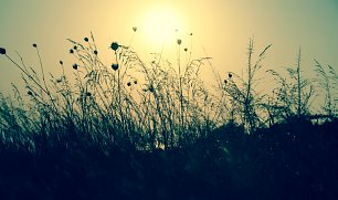 Kuehles Abendlicht Wandbild